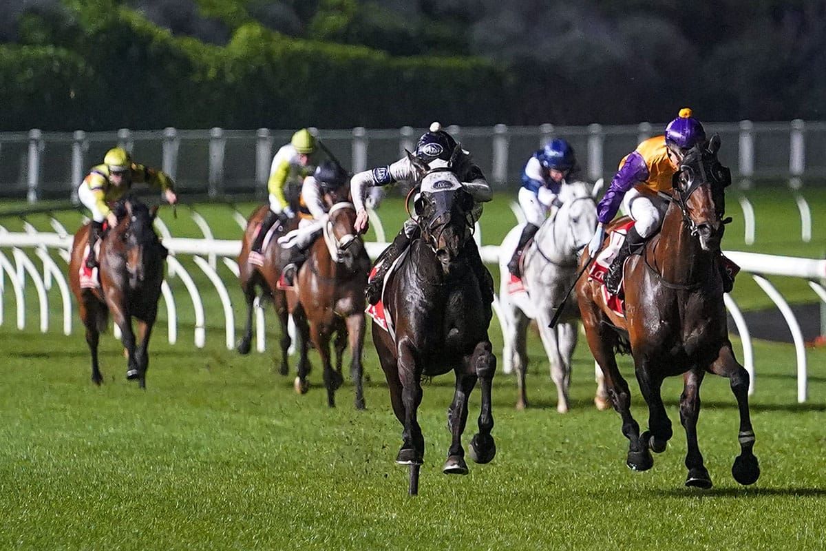 Browne to sign off Australia foray with Jericho tilt