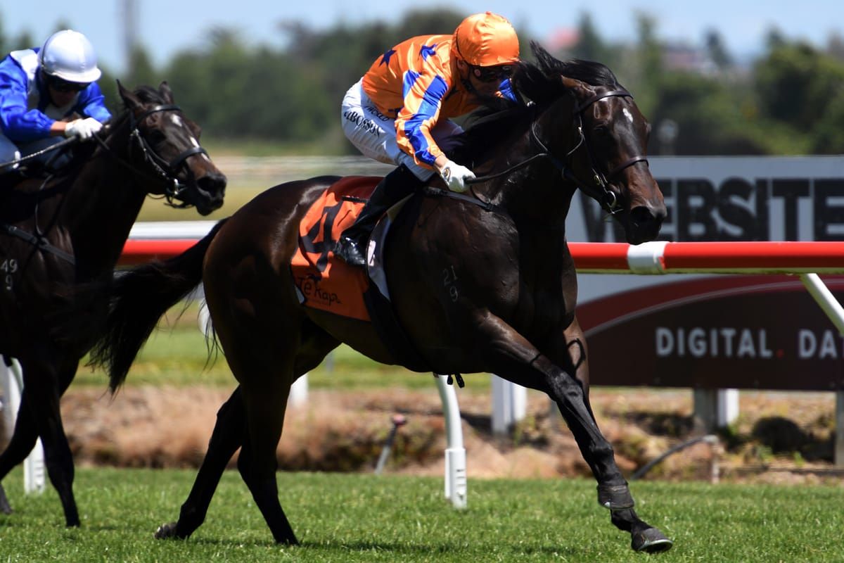 The Sky’s the limit for speedy filly
