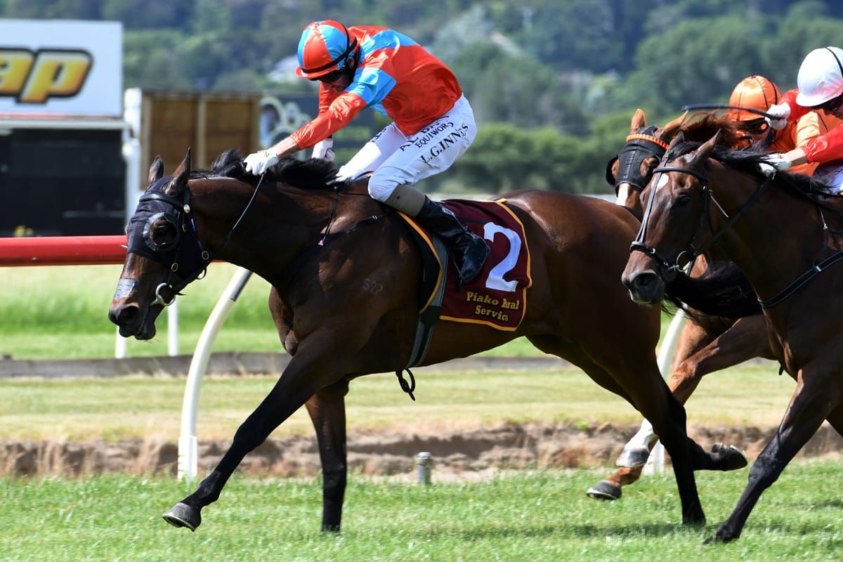 Innes and Demonetization take Te Aroha feature