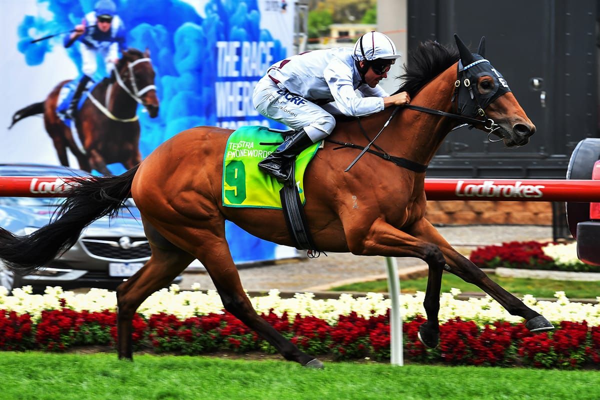 Eptimum wins Central Otago Cup