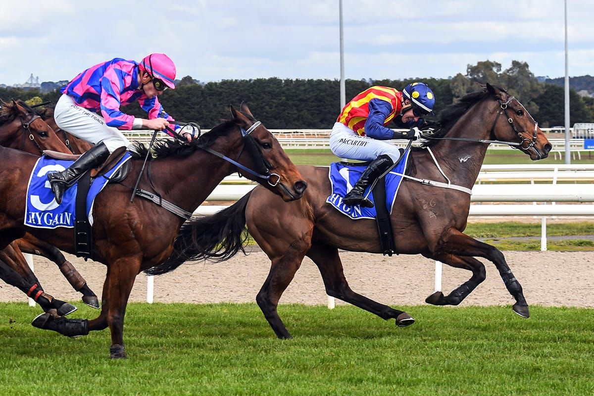 Heberite vying for Jericho honours