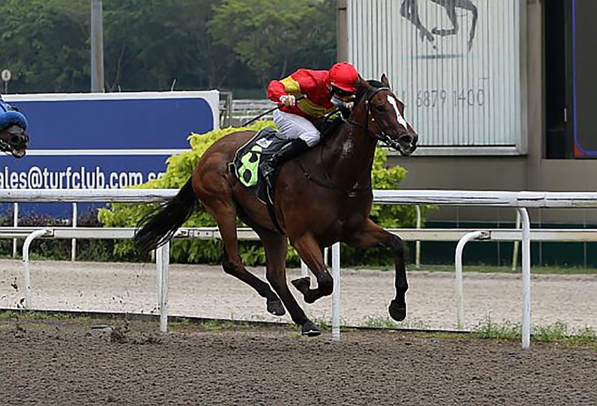 Just Because another smart debut winner