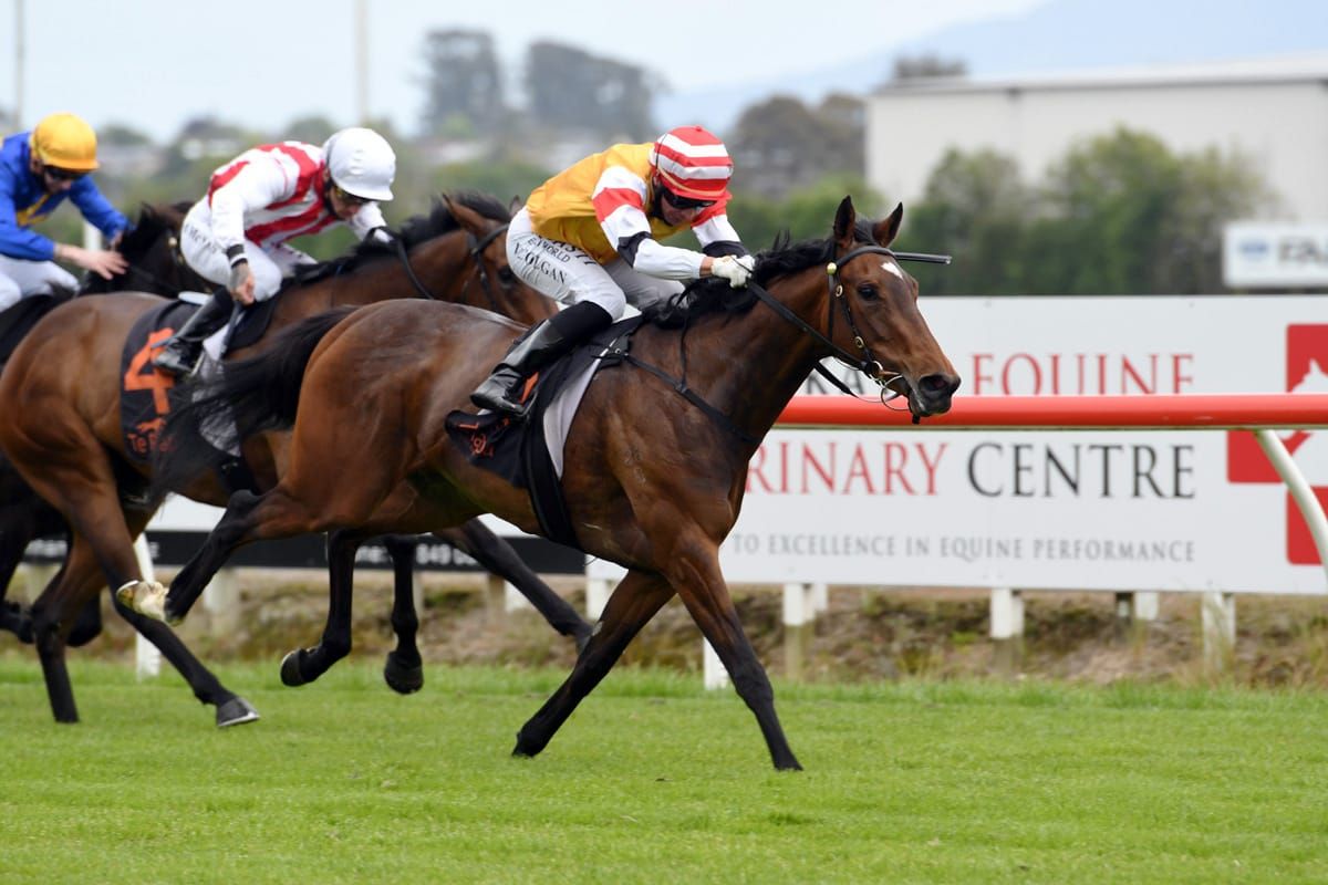 Filly cutting shapes just like mum