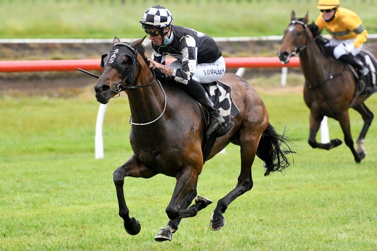 Justaskme takes Tauranga feature
