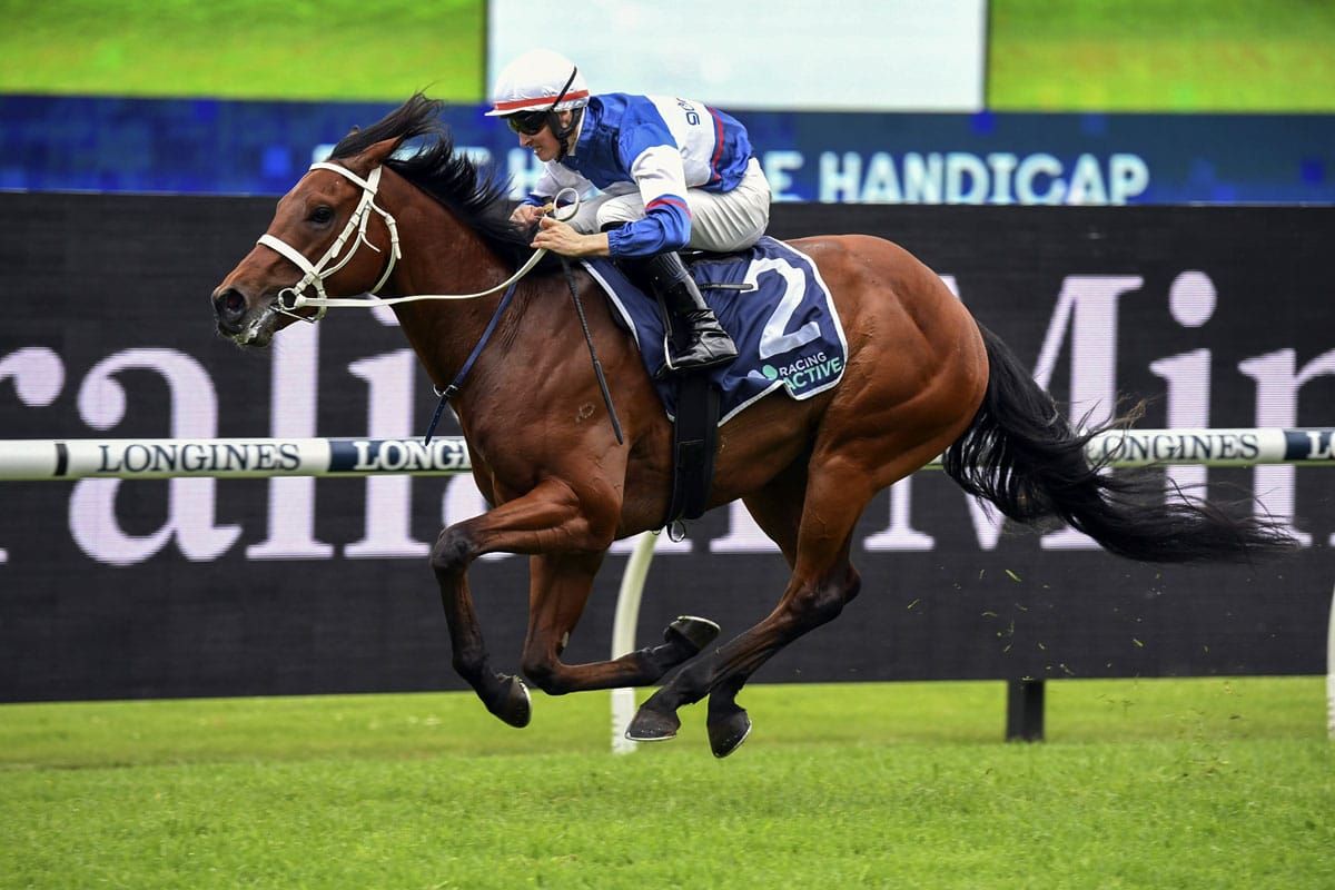 Sherry lands metro double with NZ Breds