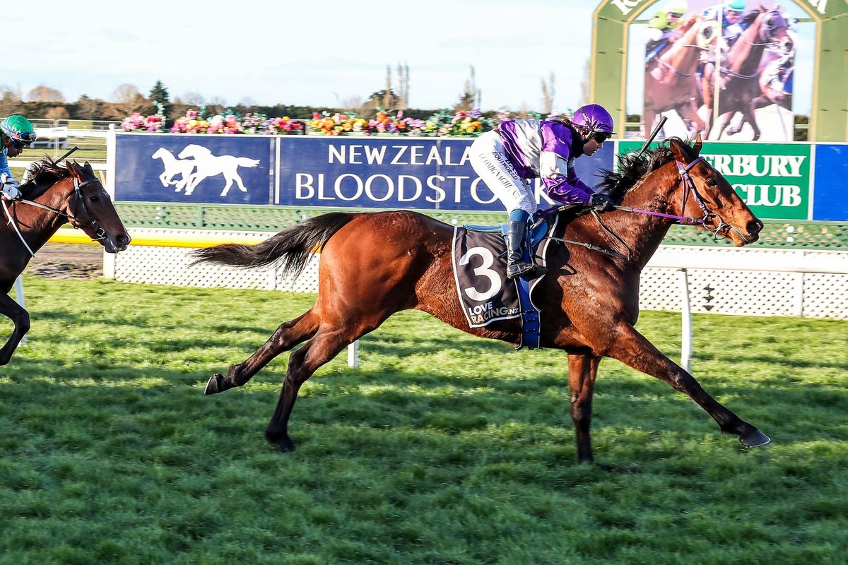 Blackadder has prime chance at Wingatui