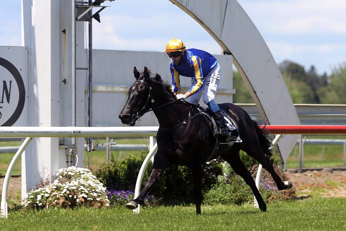 Tiley talent on show at home track