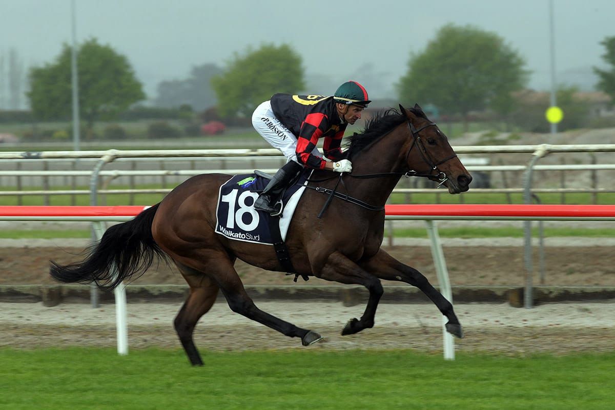 Bosson sees bright future for talented filly