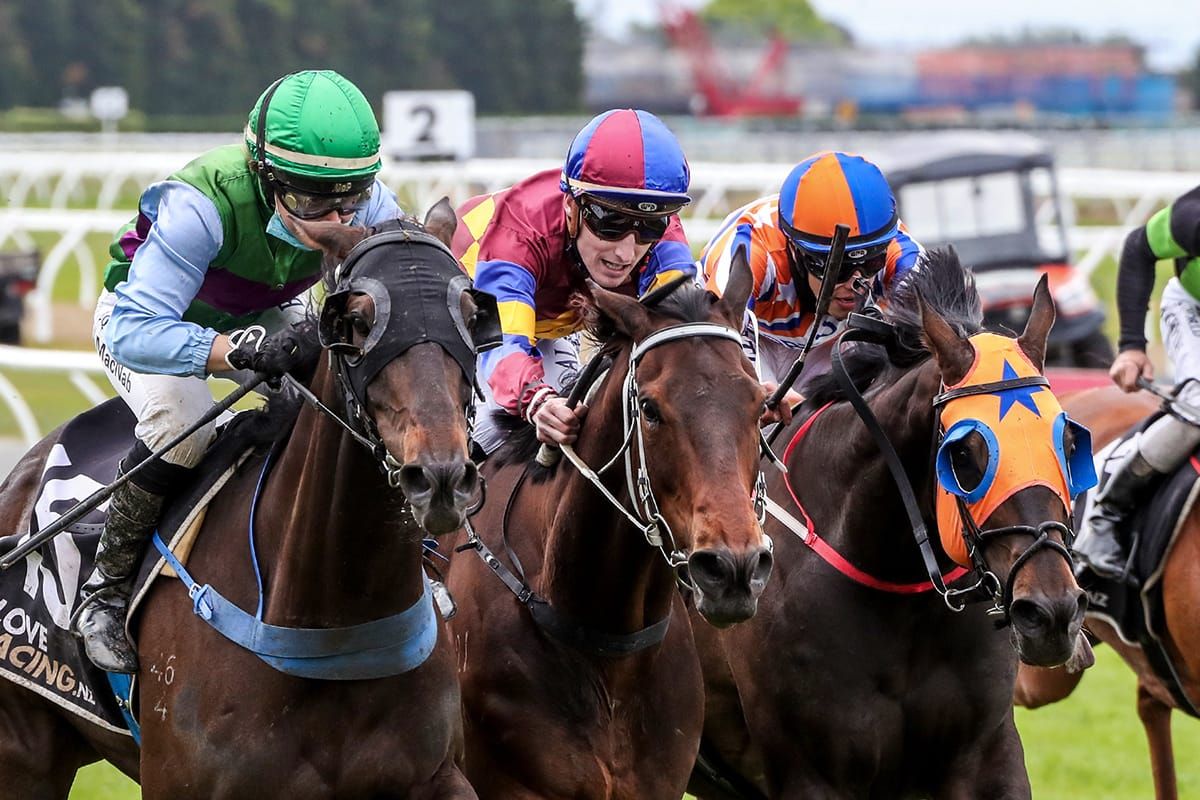 Mondorani upsets in New Zealand Cup