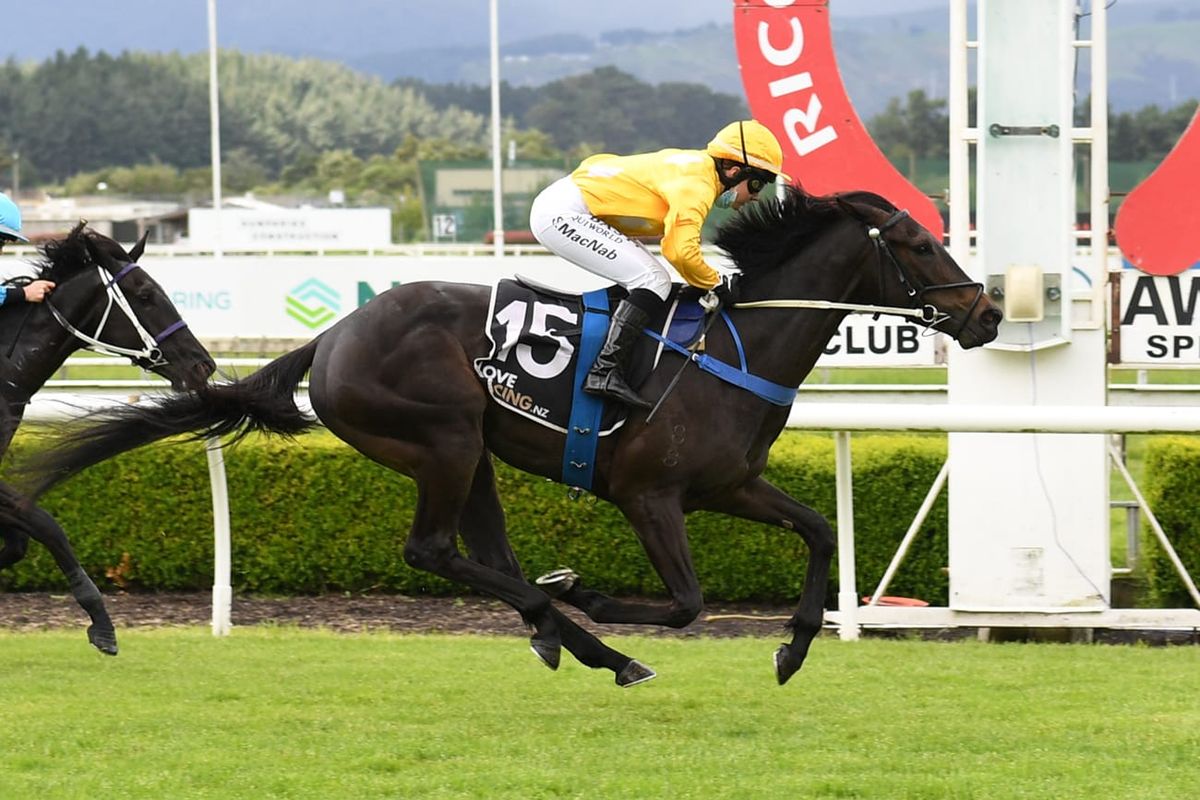 Didham’s stable set to continue strong form