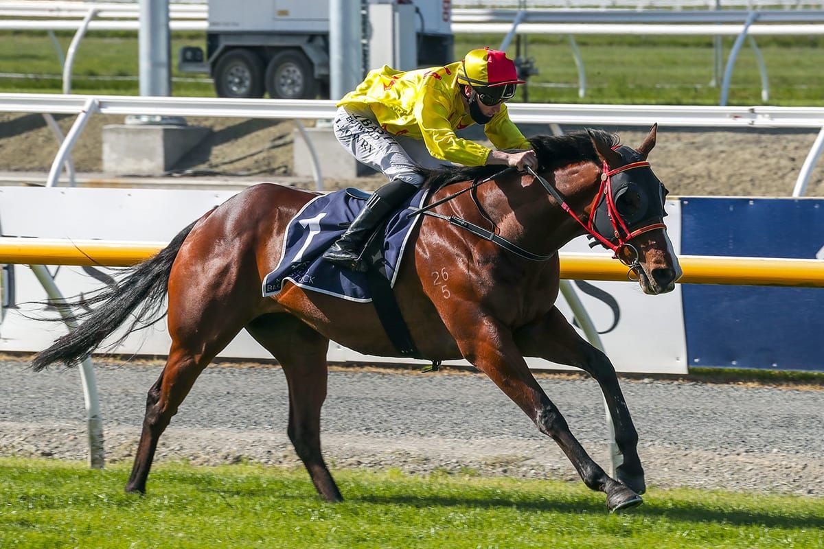 Blatch soaking up the pressure of Cup week