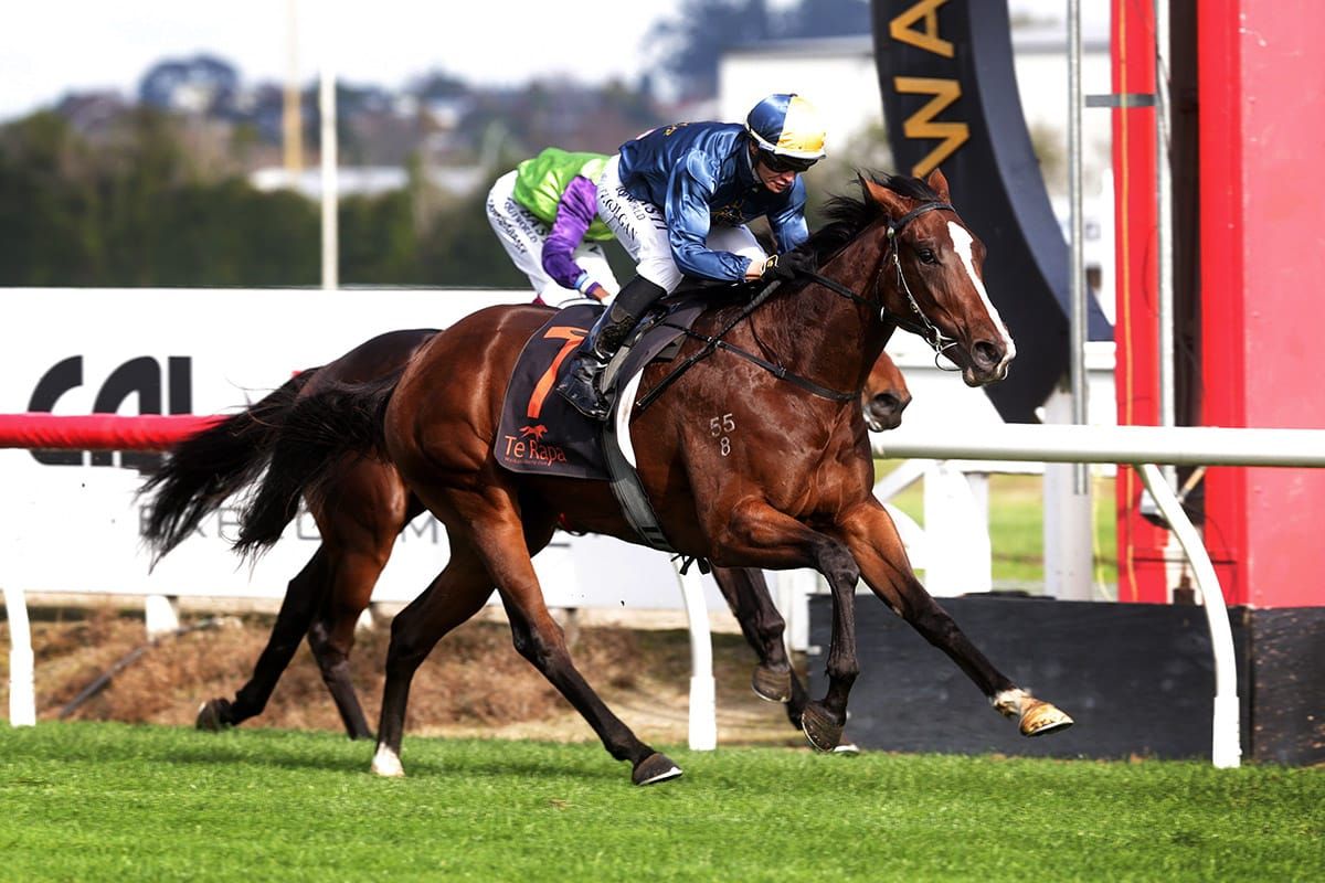 Mustang Valley on song for Guineas