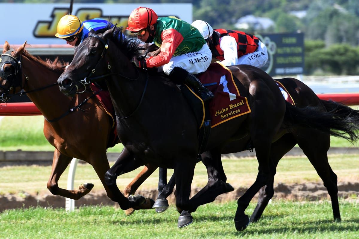 Picket fence continues for exciting Pareanui Bay