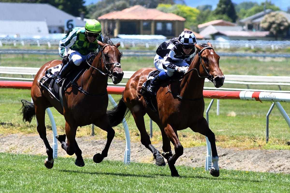 Derby aspirations for promising Awapuni winner