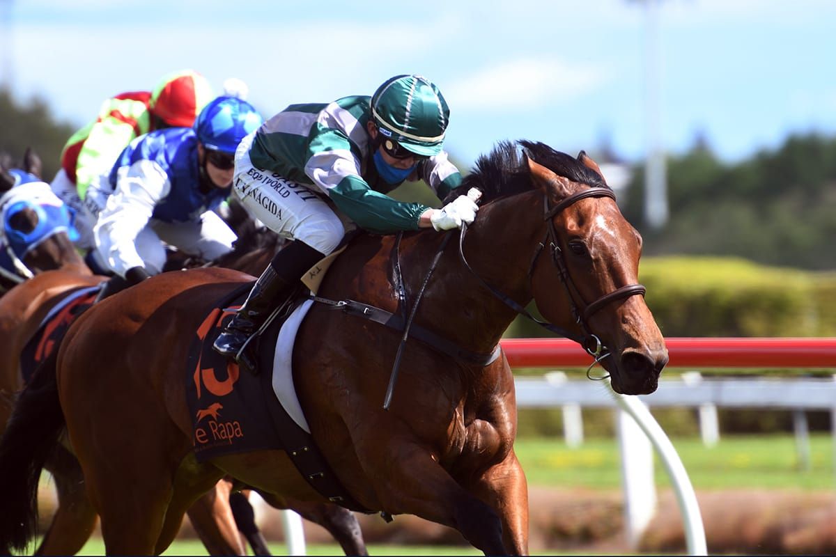 Singapore Derby a target for impressive Te Rapa winner