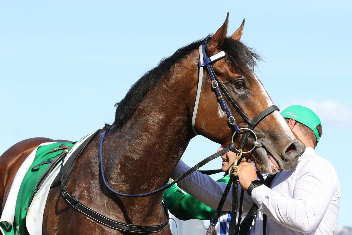 Spirit of Gaylard adds to Kiwi dominance