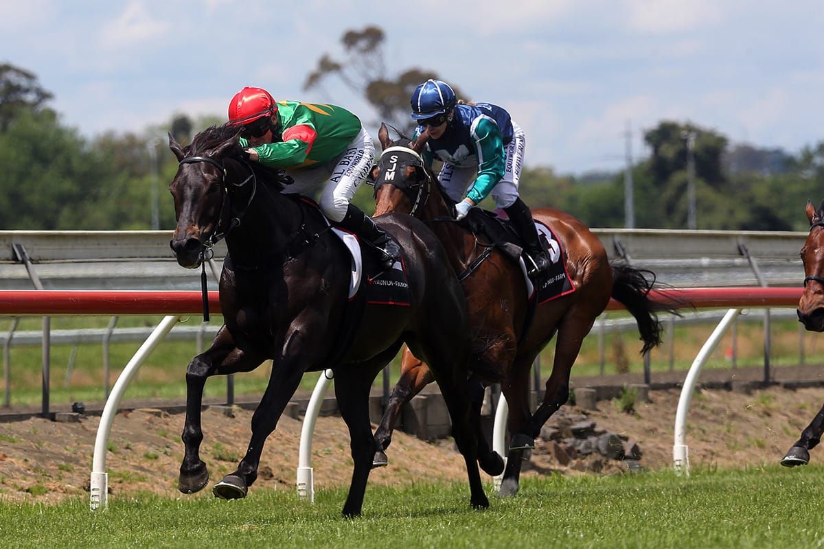 Collett delighted to be back trackside