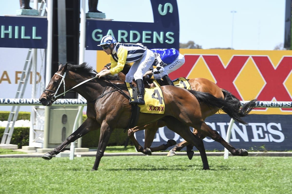 Suppression shows glimpse of staying promise