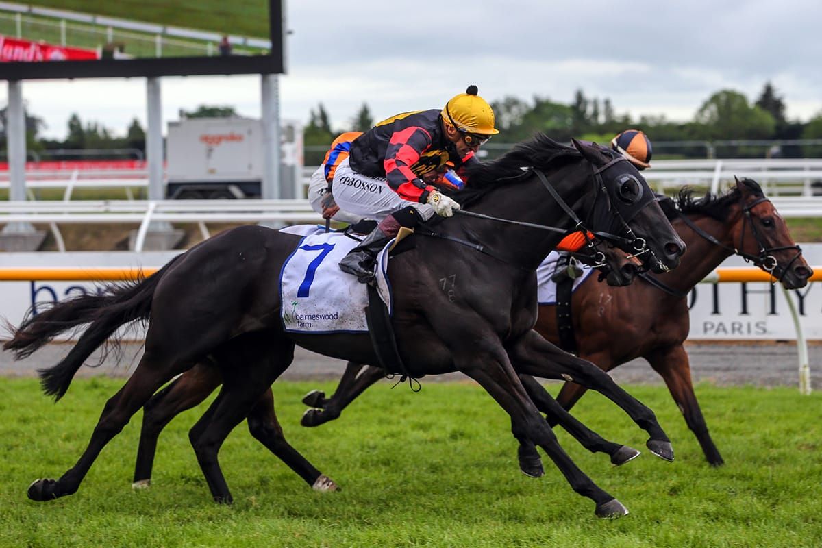 Richards reflects on next steps for his fabulous first four fillies