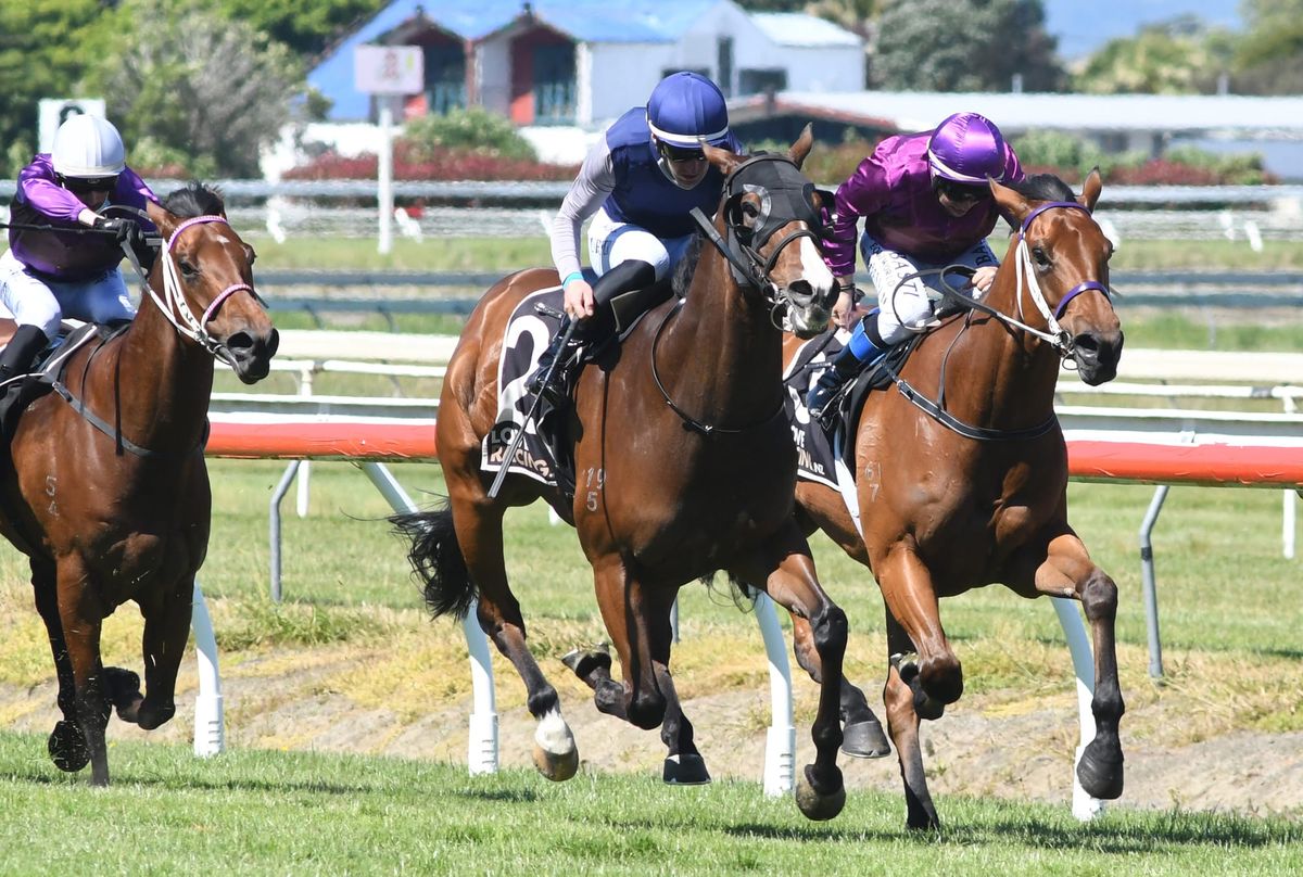 Turner building strong record