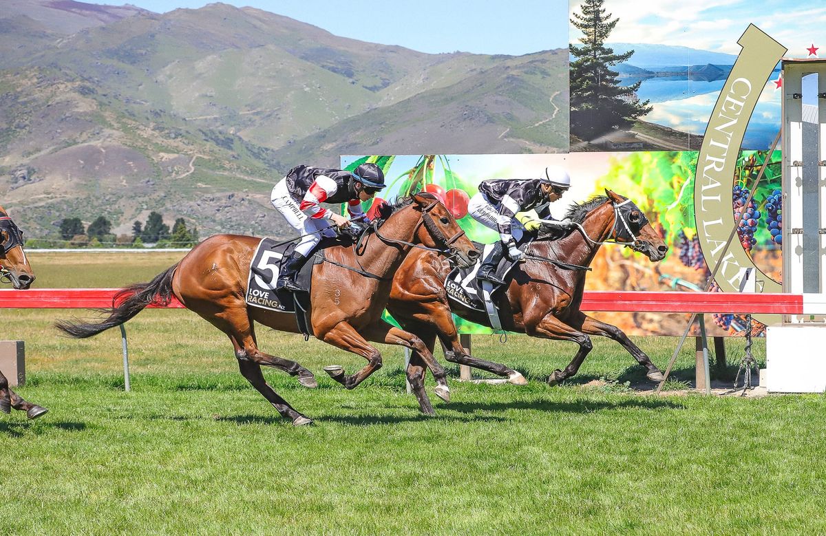 Prestige Cup hopes for emerging stayer