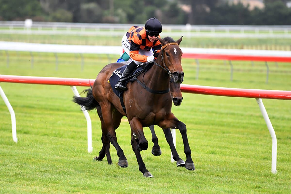 Wolverine shows plenty of x-factor on debut