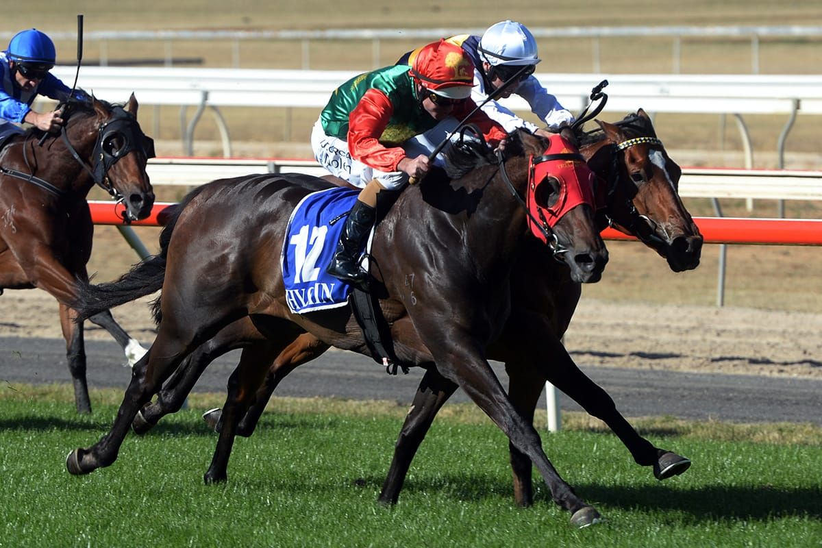 Ballarat Cup tilt for Zayydani