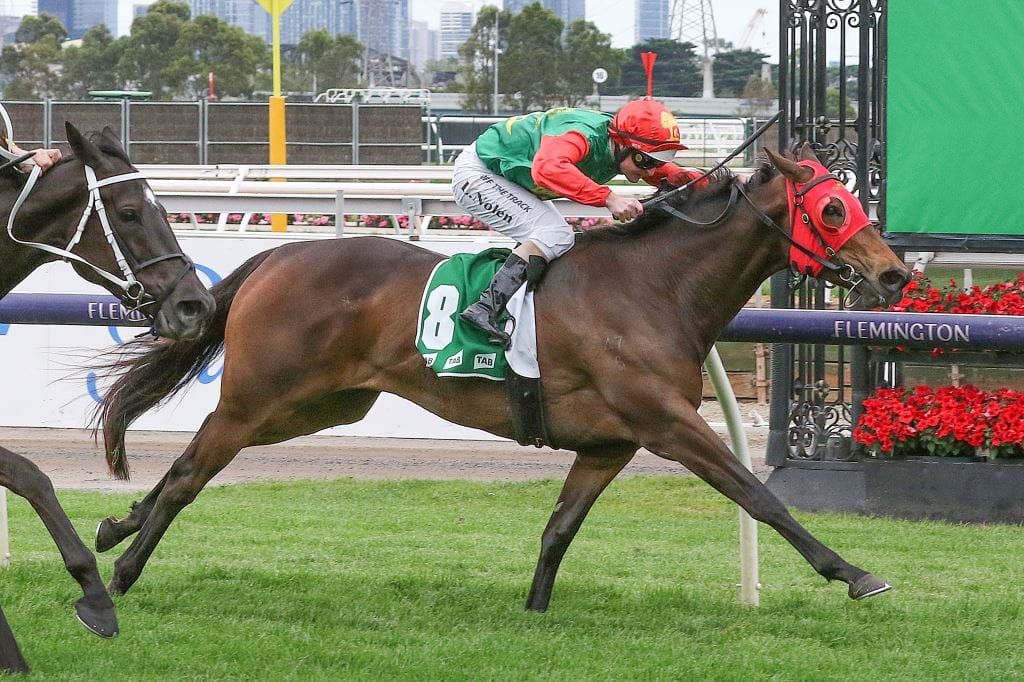 Zayydani heads Kiwi-bred quinella in Matriarch