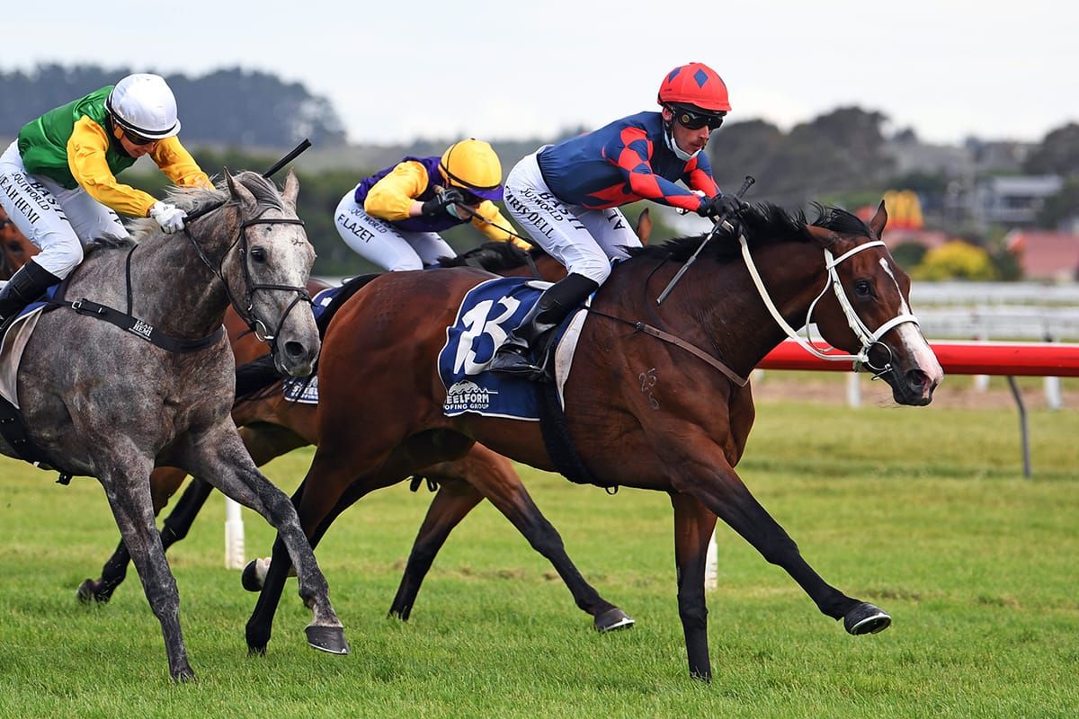 Zola Express wins Wanganui Cup
