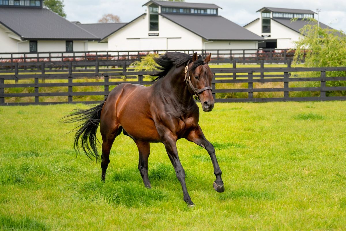 Almanzor youngsters star at trials