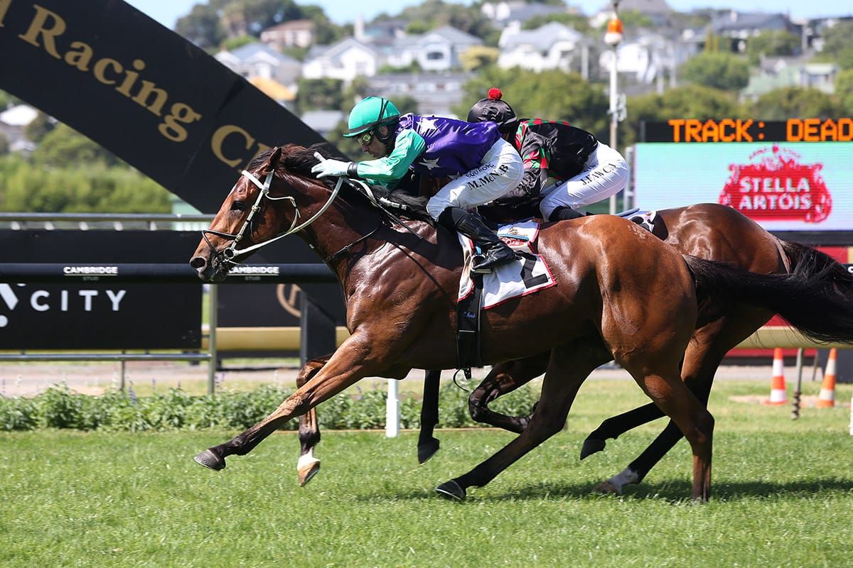 Bankers Choice completes massive day for owners