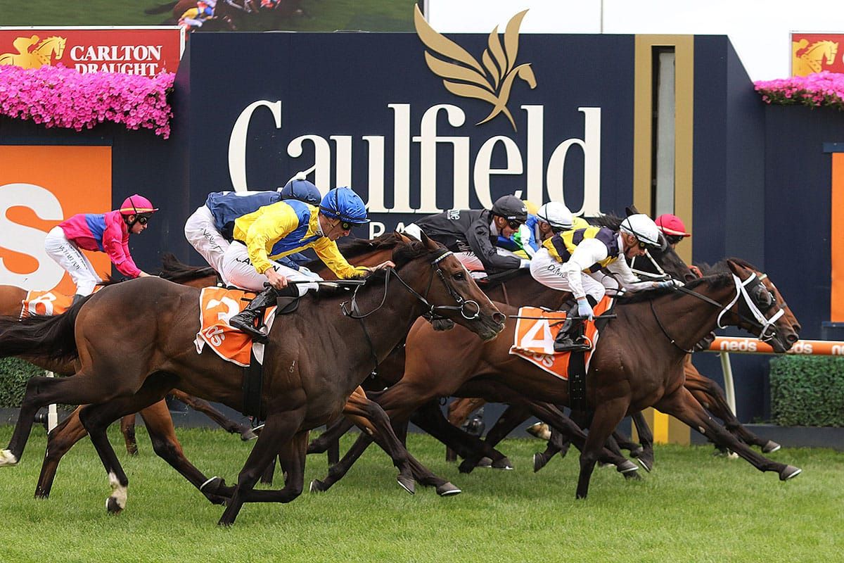 Winning roll continues for Daqiansweet Junior