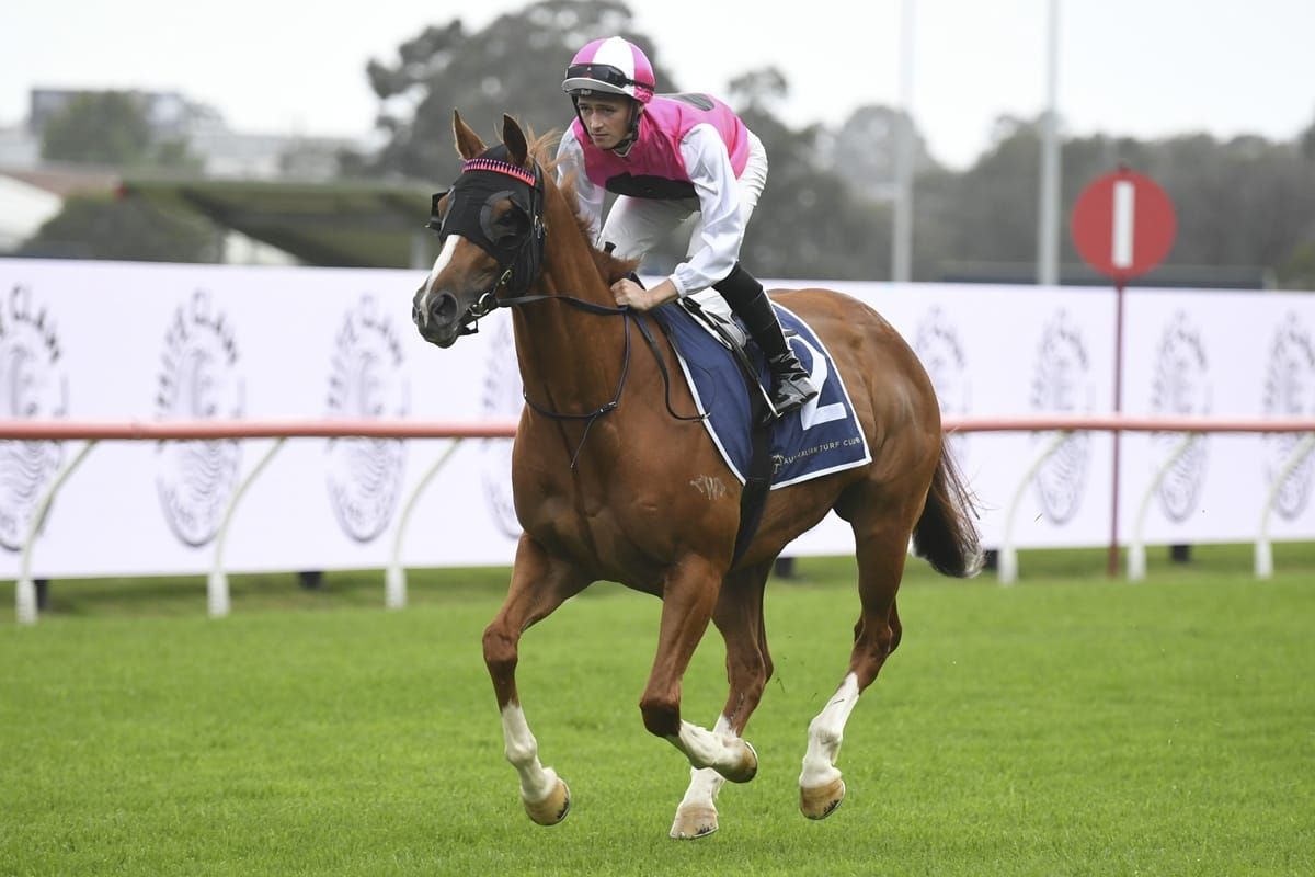 Expat wins an epic battle in the Belle Of The Turf