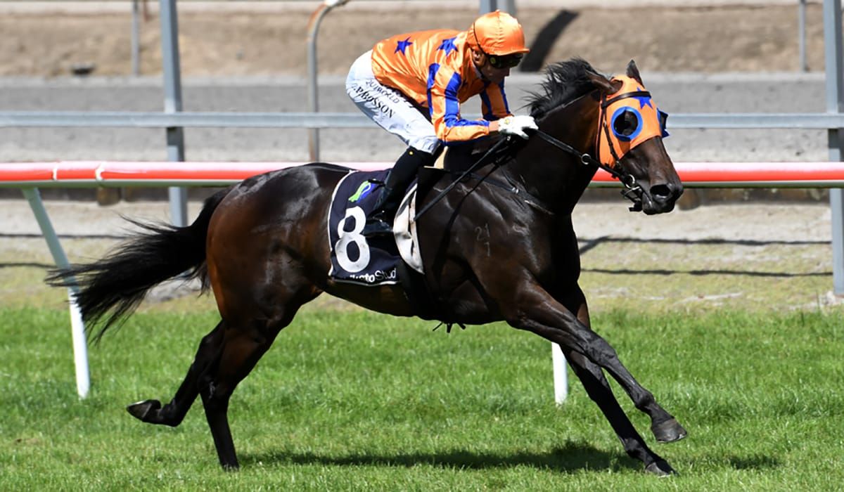 Richards quinellas own race