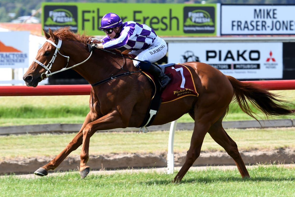 Johnson chases Ellerslie gold
