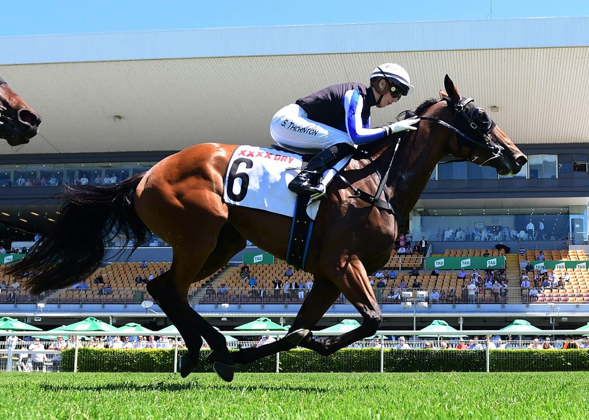 Gypsy Goddess continues her winning ways at Doomben
