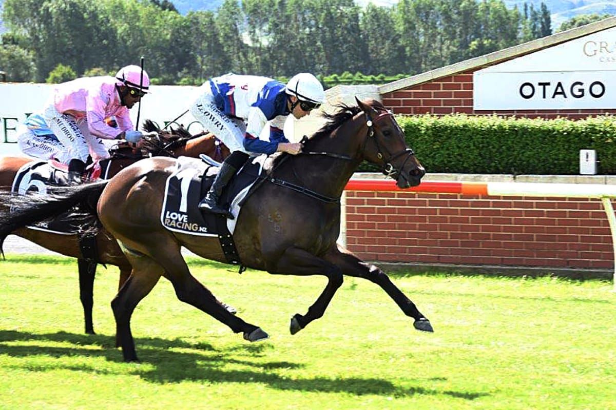 Hasabro soars to first stakes win