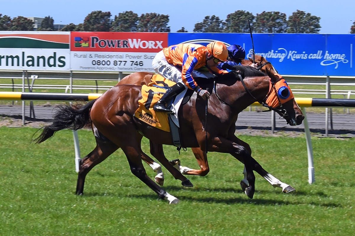 Karaka Million beckons Lord Cosmos