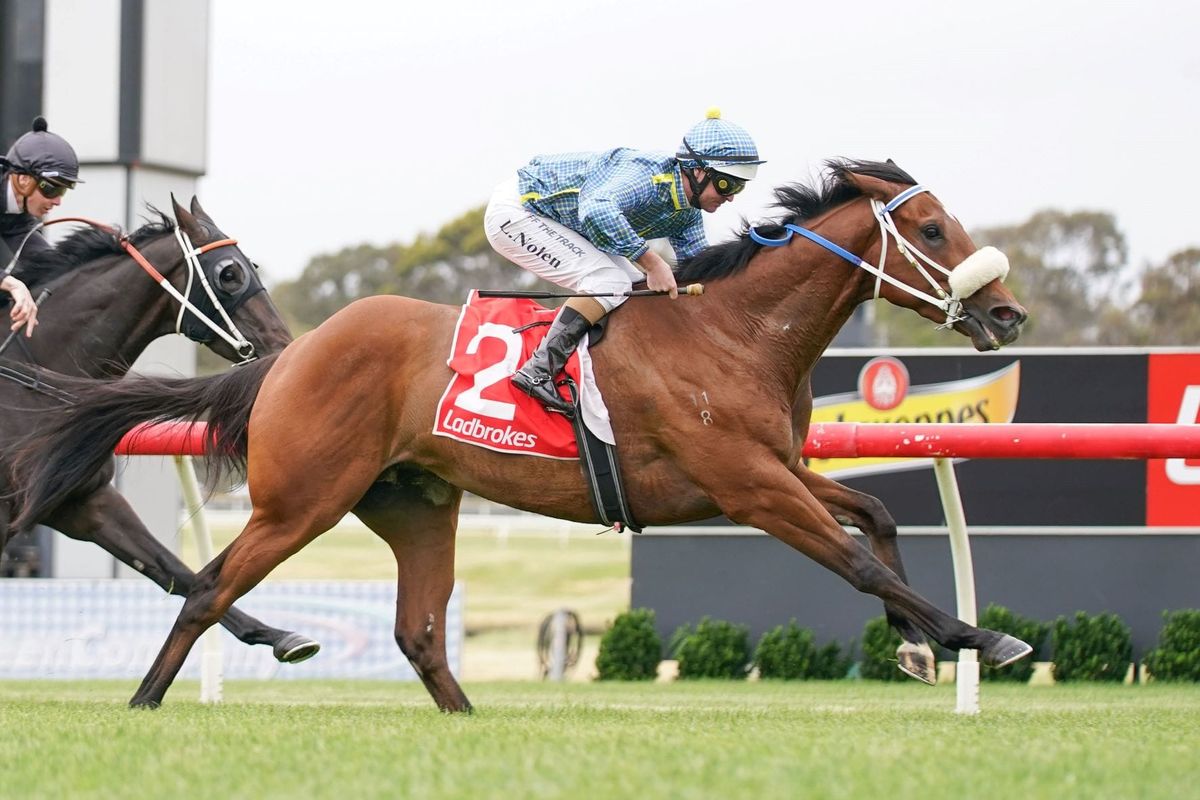 Lucky Decision breaks through