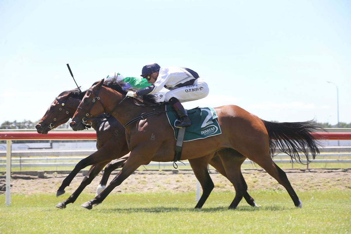 Ellerslie riches beckon Pacific Dragon