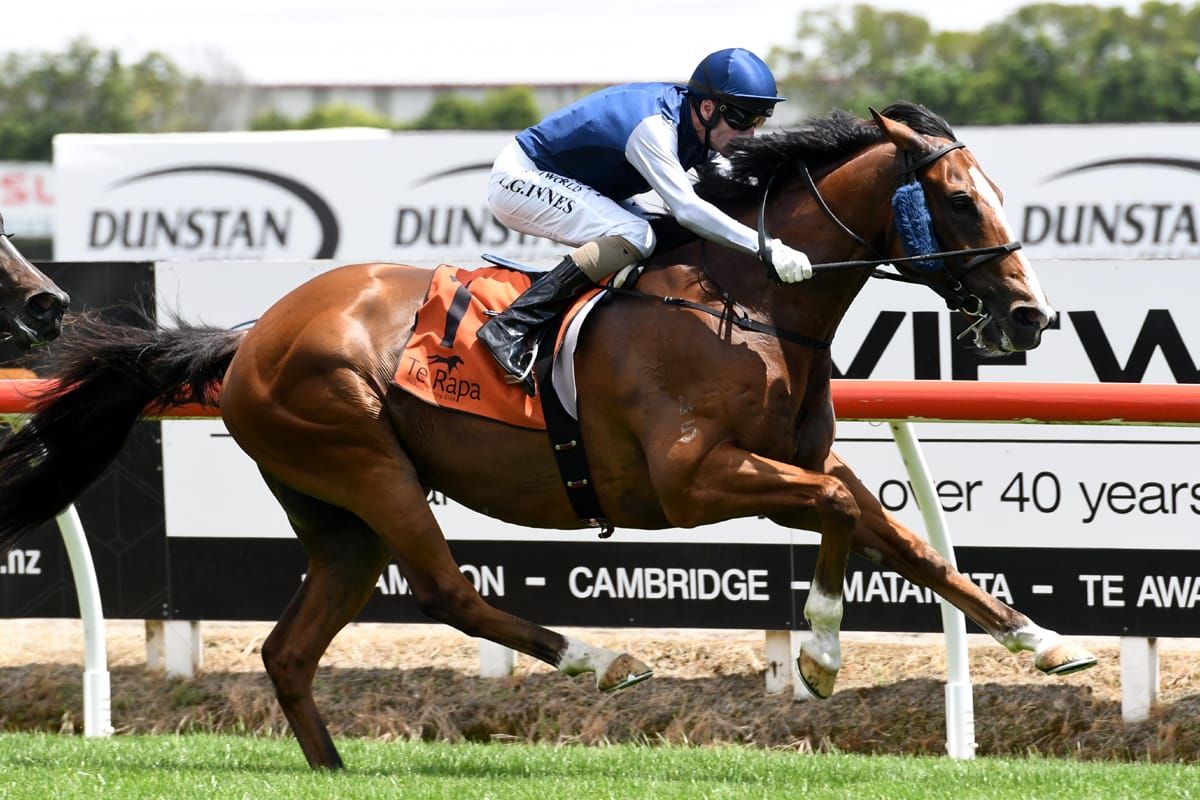 Rockstar packs plenty of punch at Te Rapa