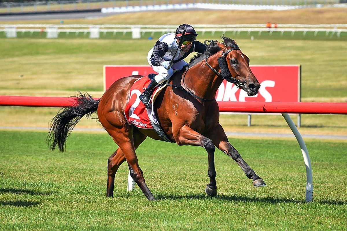 Former Kiwis shine at Sandown