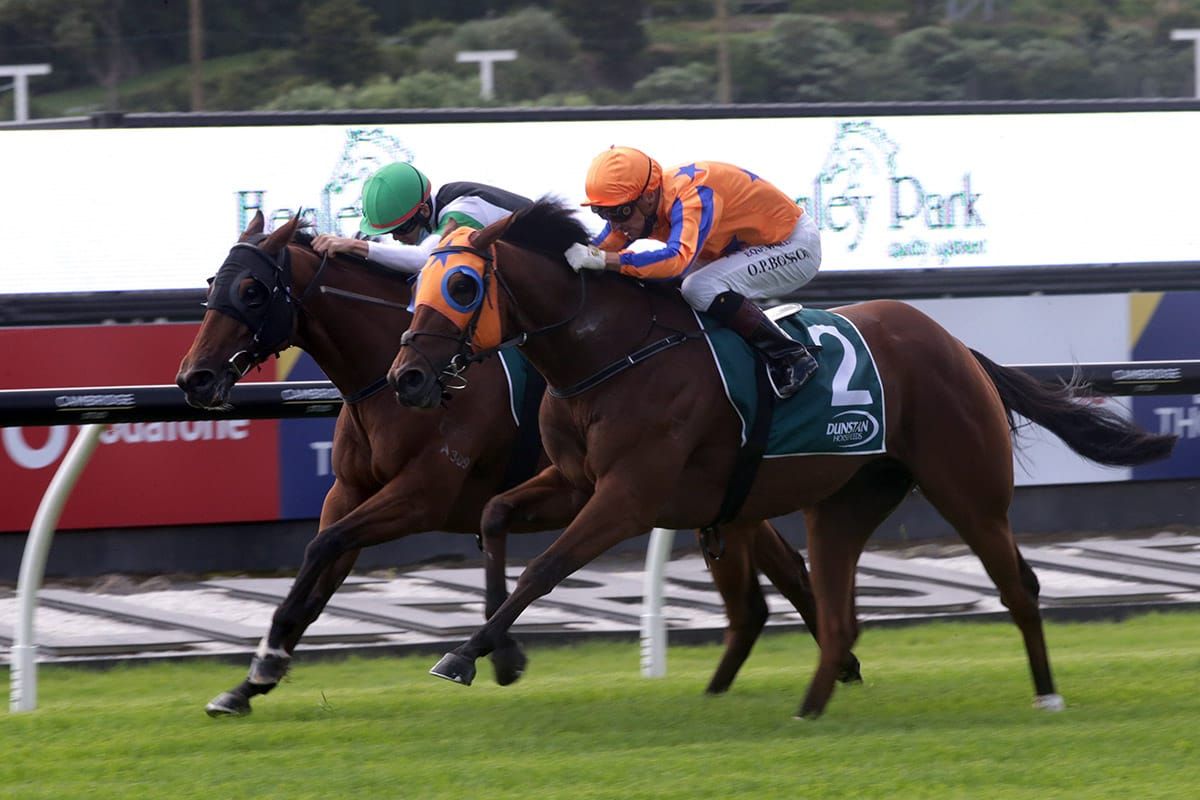 Richards can’t fault Group One hope Prise De Fer