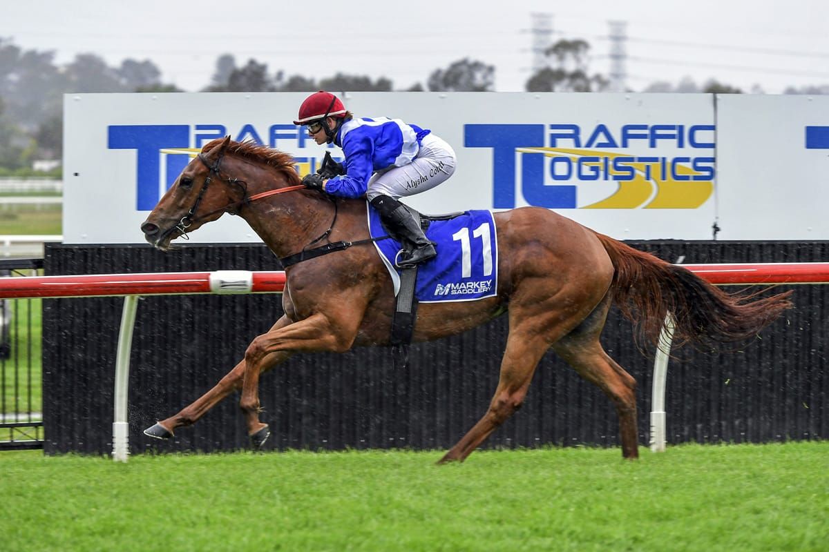 Queen Bellissimo set to rule for Widdup in Midway