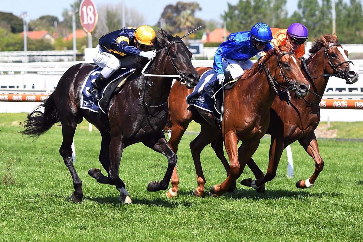 Flemington back-up for Ranting