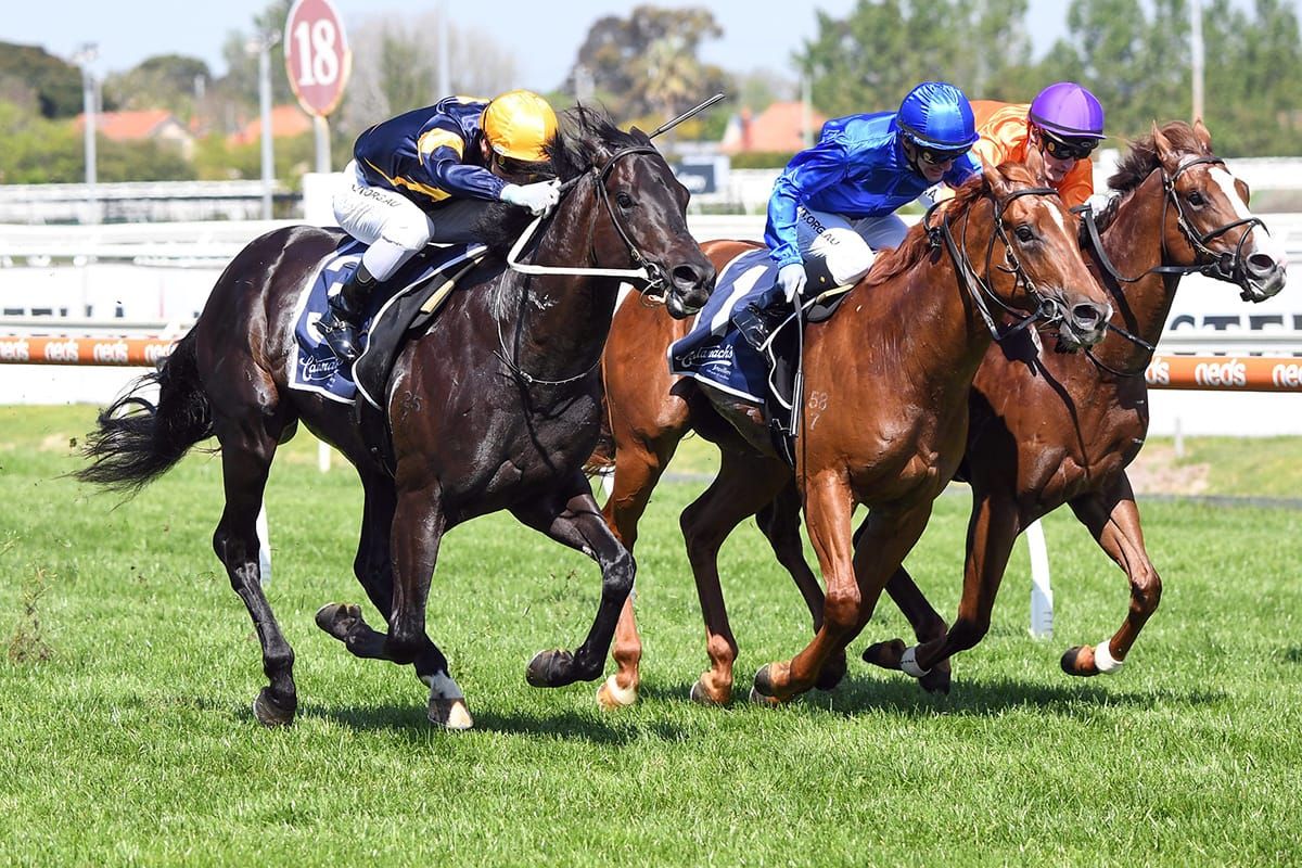 Ranting rearing to go at Pakenham