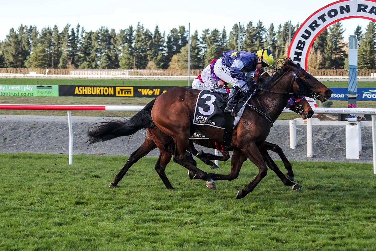 Riviera ready to rock at Riverton