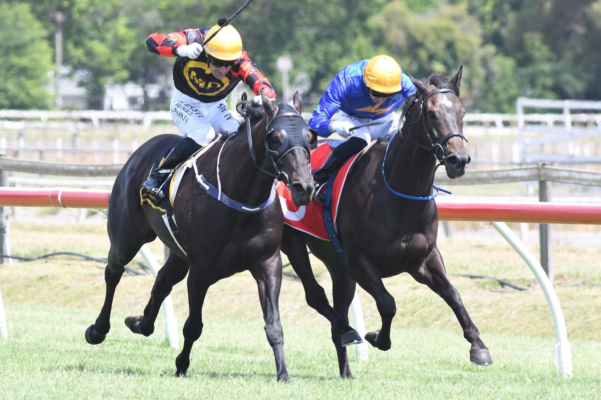 McKay’s duo in fine fettle for Matamata assignments