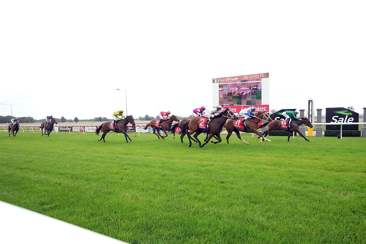 The Country Discovery to headline Good Friday racing