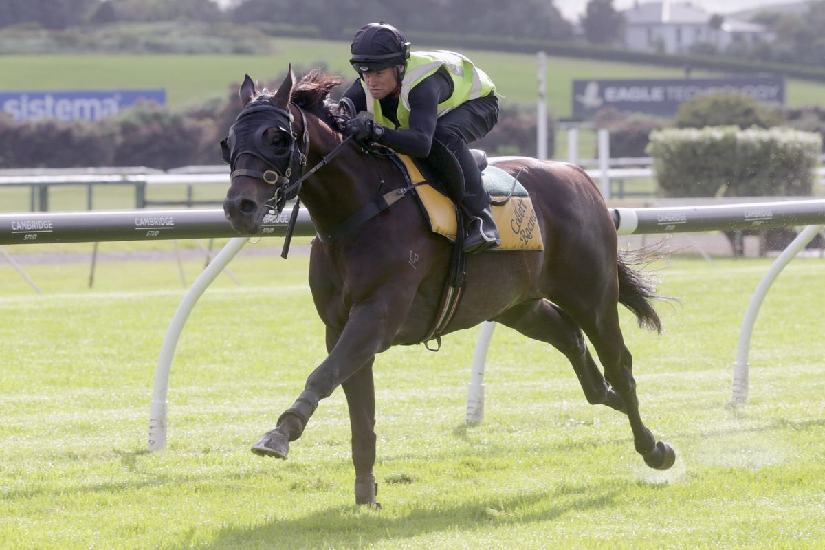 Boxing Day test for Super Pursuit